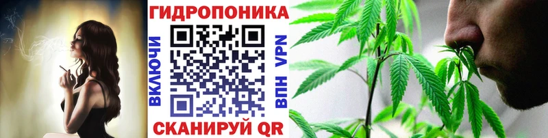 blacksprut маркетплейс  Анадырь  МАРИХУАНА сатива 